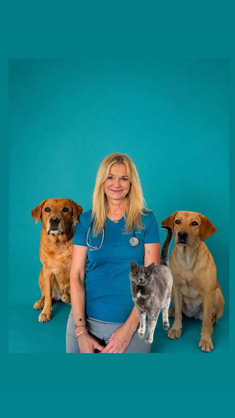 Tierärztin Dr. Daniela Krause-Erl im türkisfarbenen Kittel sitzt zwischen zwei Golden Labradoren, davor sitzt eine graue Katze